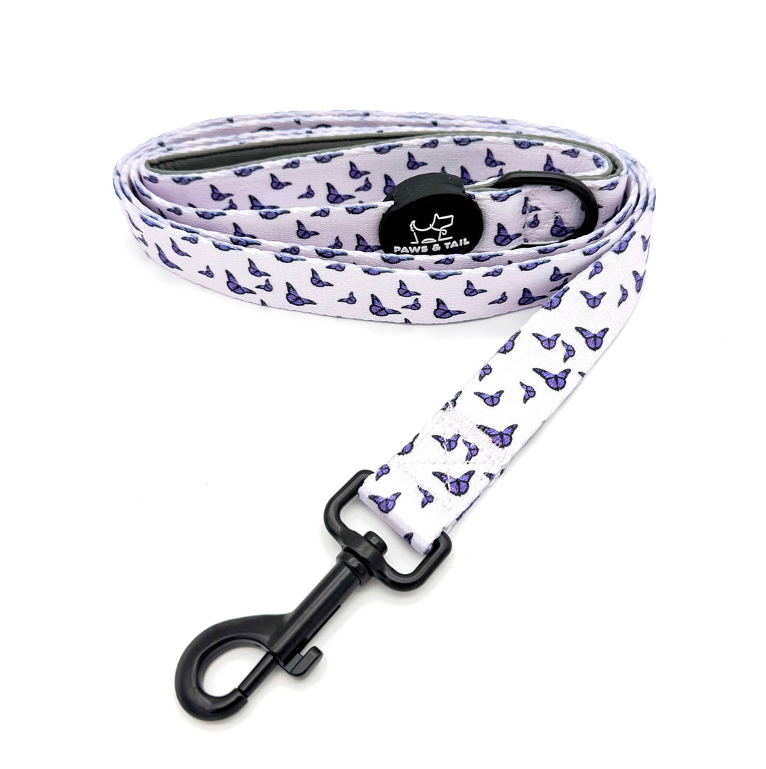 Violet Wings Collar Set