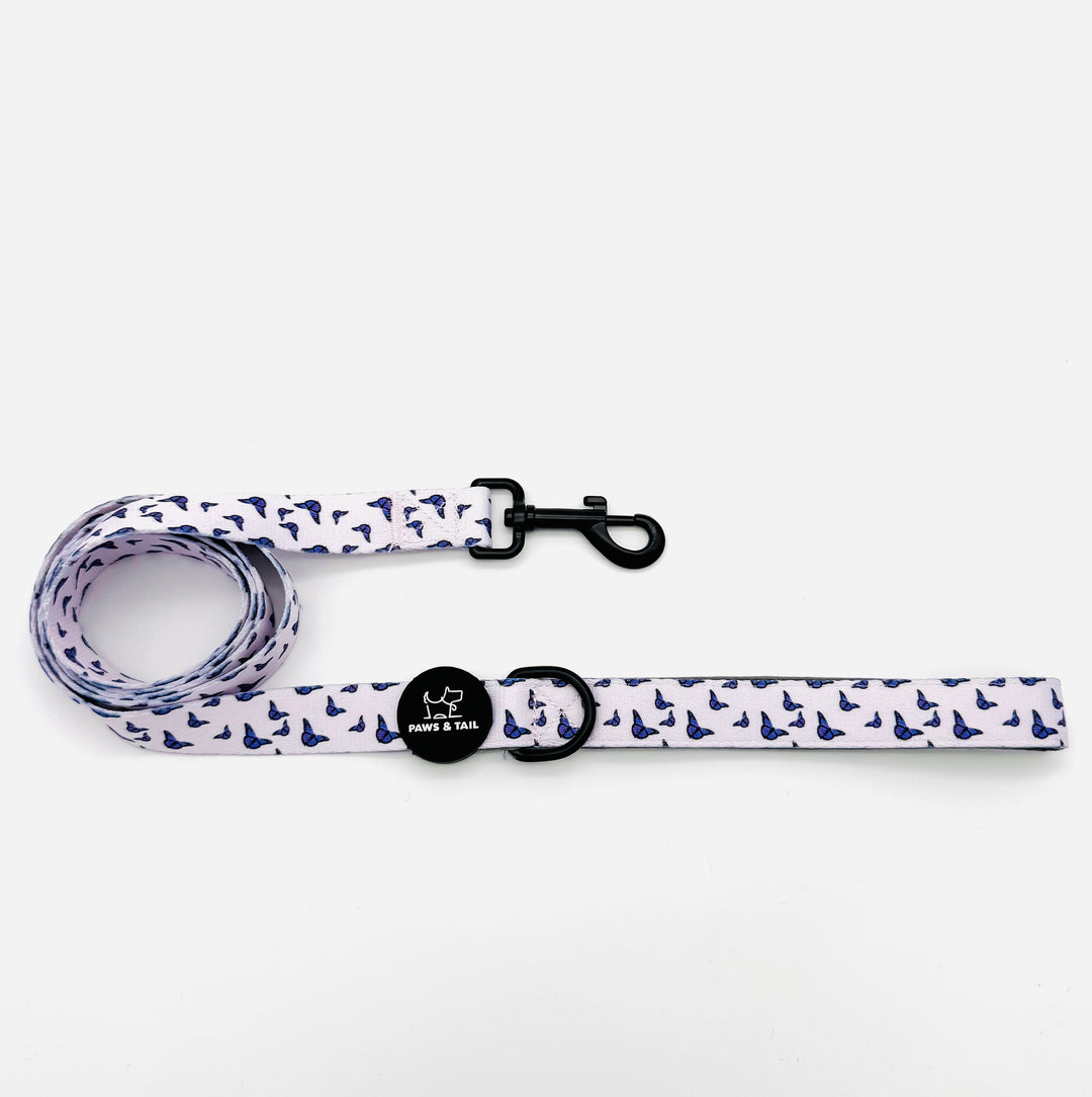 Violet Wings Harness Walk Set