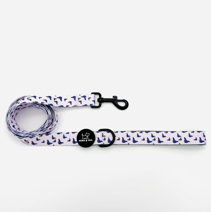 Violet Wings Harness Walk Set