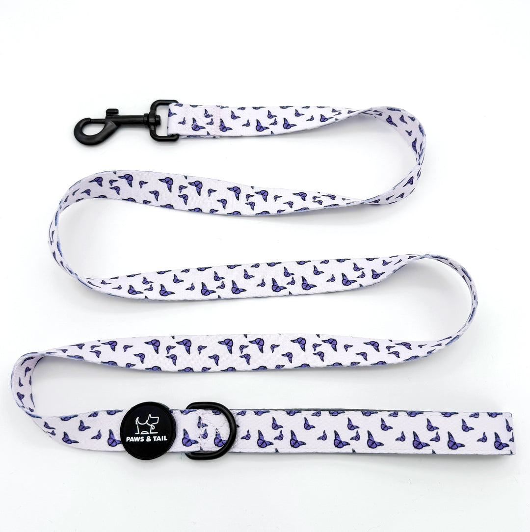 Violet Wings Collar Set