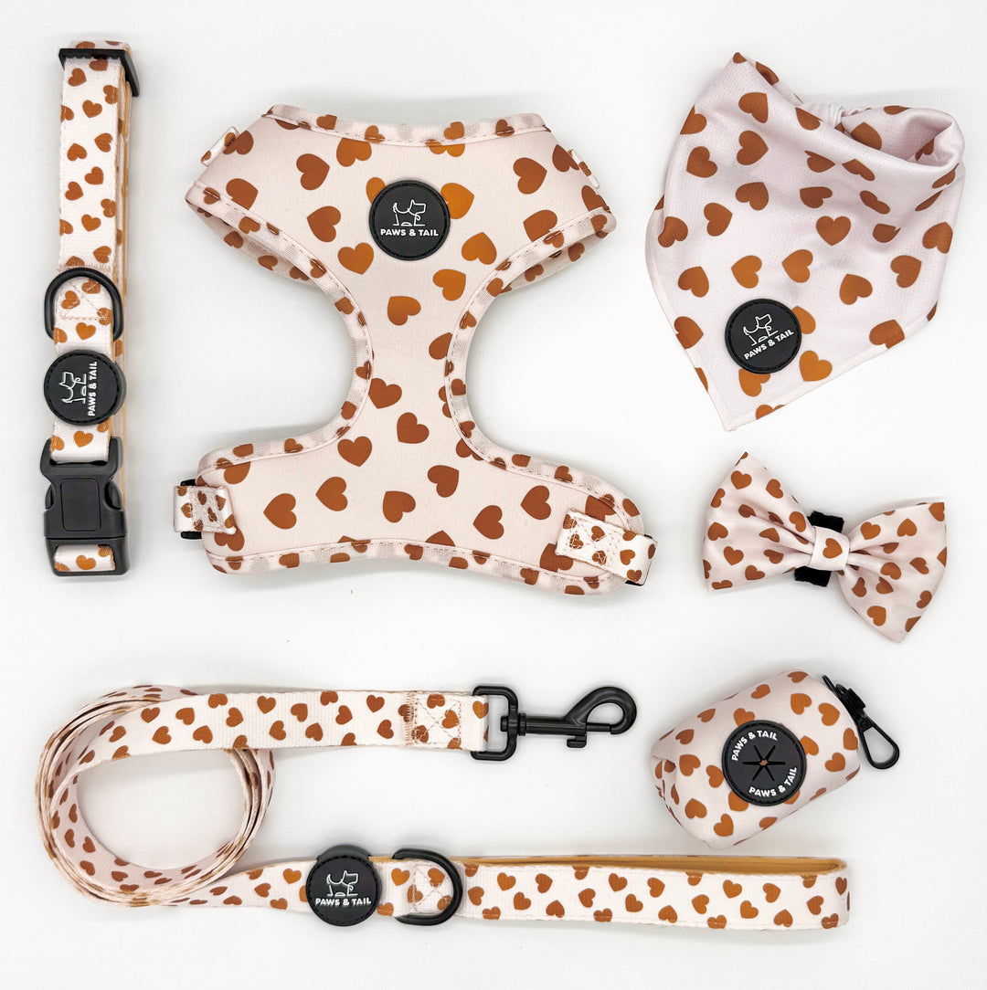 Dog walking essentials set, harness, leash, collar, bow, bandana, waste bag holder, Paws & Tail