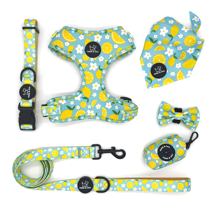 Sunny Citrus Bloom Leash