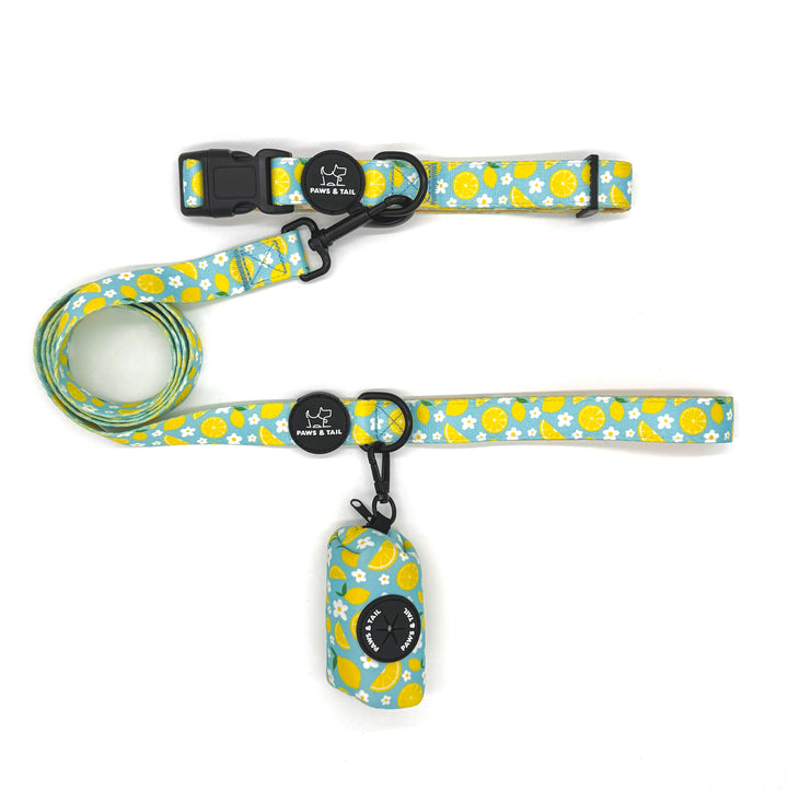 Sunny Citrus Bloom Collar Set