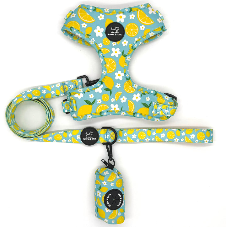 Sunny Citrus Bloom Harness Walk Set