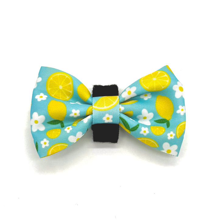 Sunny Citrus Bloom Bow Tie