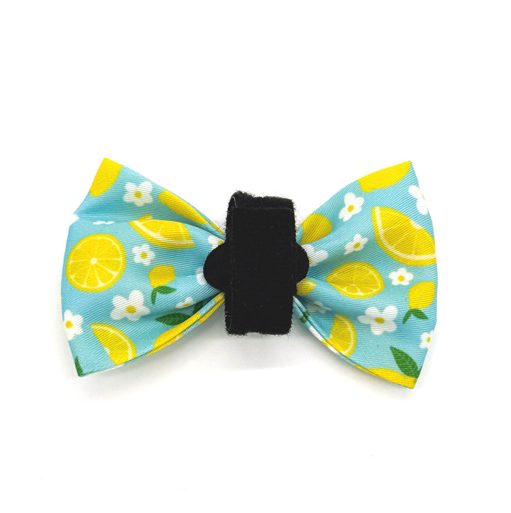 Sunny Citrus Bloom Bow Tie