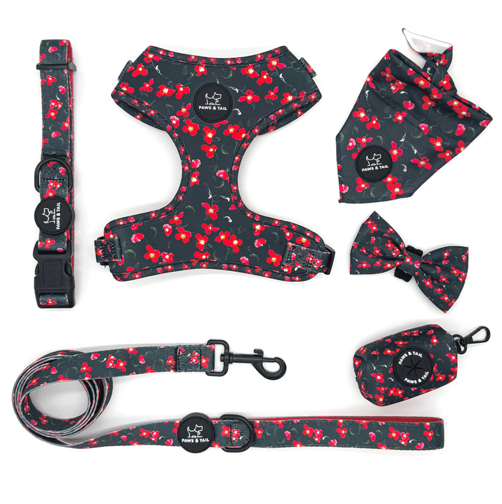 Dog walking essentials set, harness, leash, collar, bow, bandana, waste bag holder, Paws & Tail