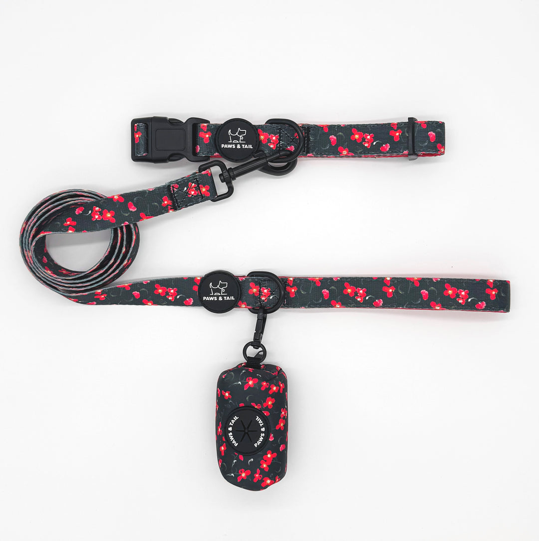 Rosé Reverie 6 Piece Kit