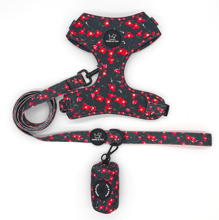 Rosé Reverie Harness Walk Set