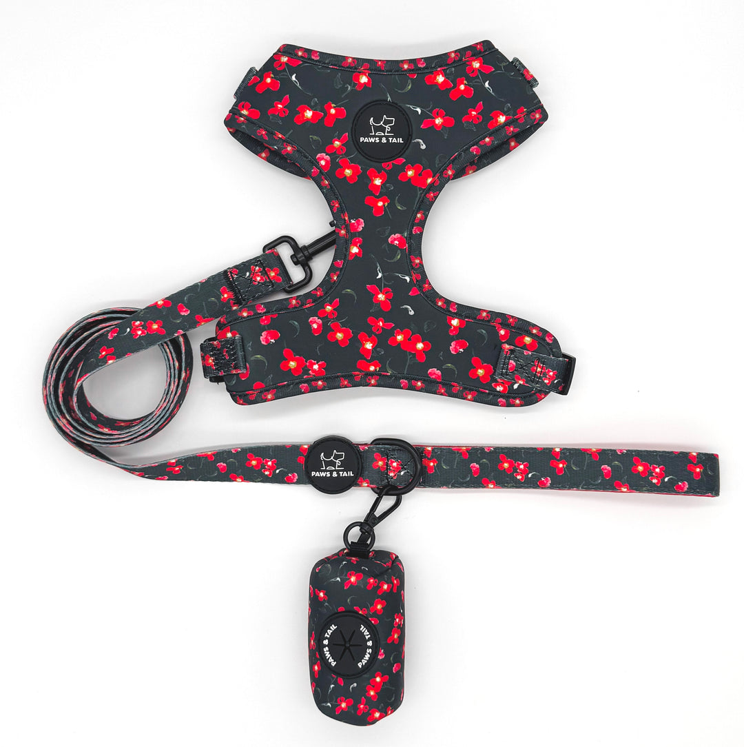 Rosé Reverie 6 Piece Kit