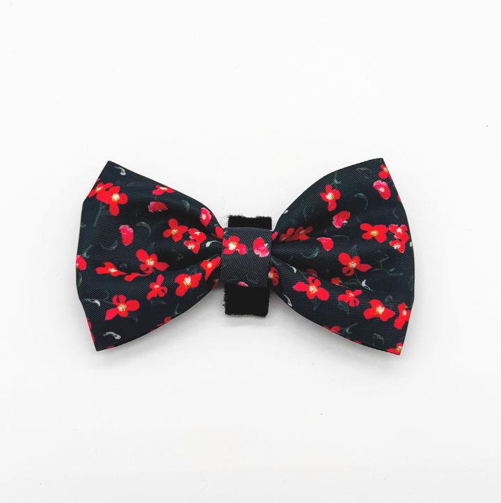 Rosé Reverie Bow Tie