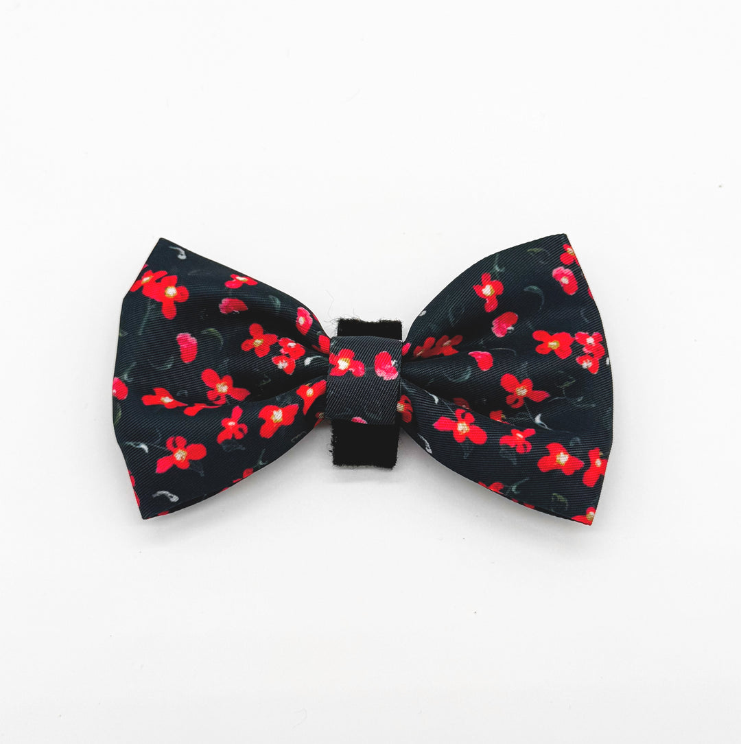 Rosé Reverie 6 Piece Kit