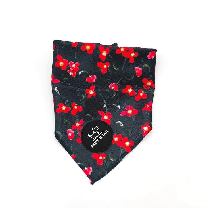 Rosé Reverie Bandana