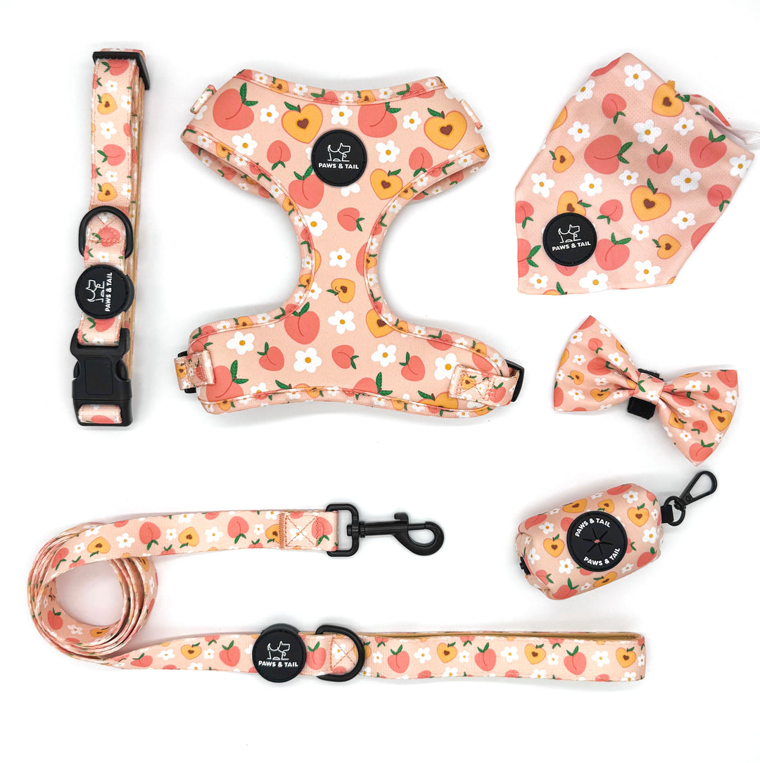 Dog walking essentials set, harness, leash, collar, bow, bandana, waste bag holder, Paws & Tail