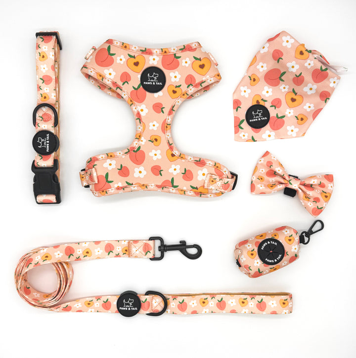 Peachy Bloom Leash