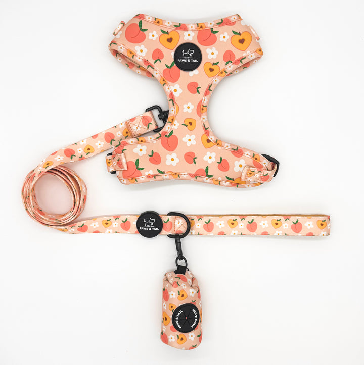 Peachy Bloom Harness Walk Set