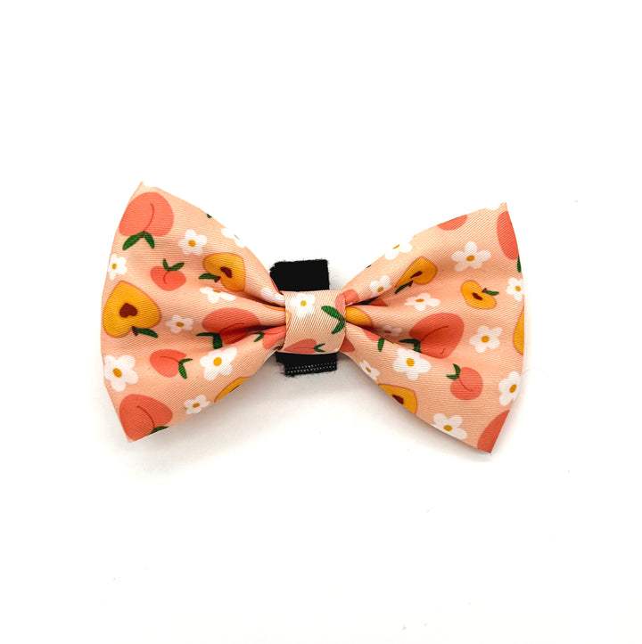Peachy Bloom Bow Tie
