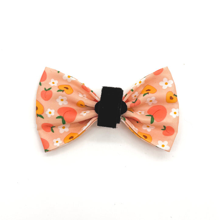 Peachy Bloom Bow Tie