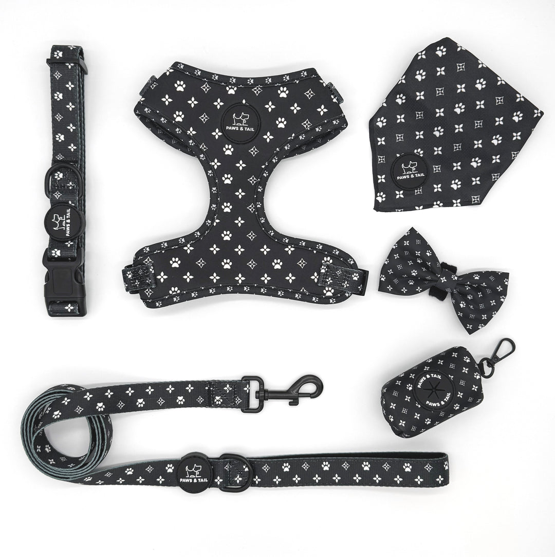 Black Diamond Harness