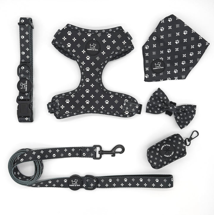 Black Diamond Harness