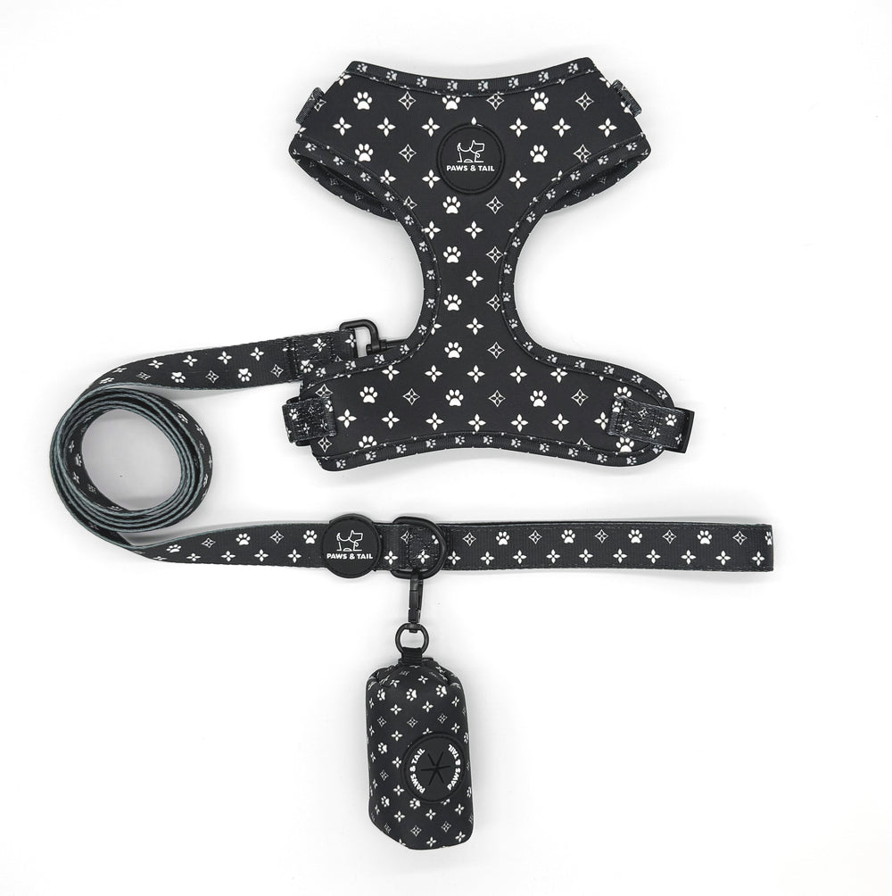 Dog walking essentials set, harness, leash, collar, bow, bandana, waste bag holder, Paws & Tail