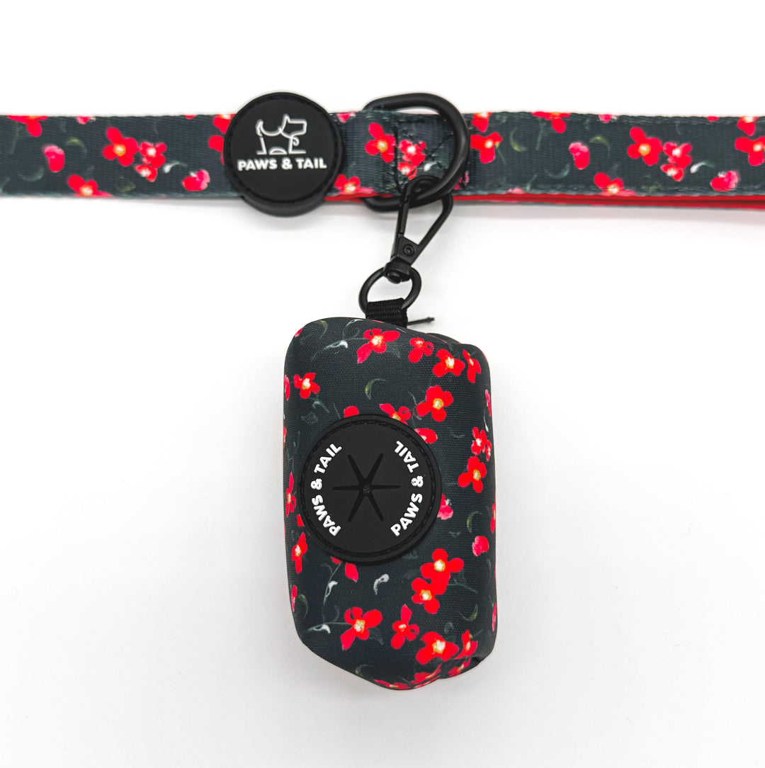 Rosé Reverie Harness Walk Set