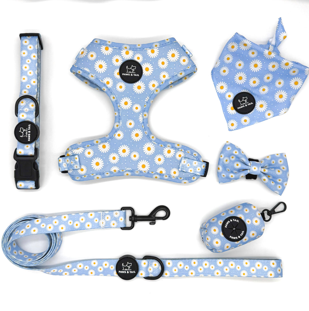 Dog walking essentials set, harness, leash, collar, bow, bandana, waste bag holder, Paws & Tail