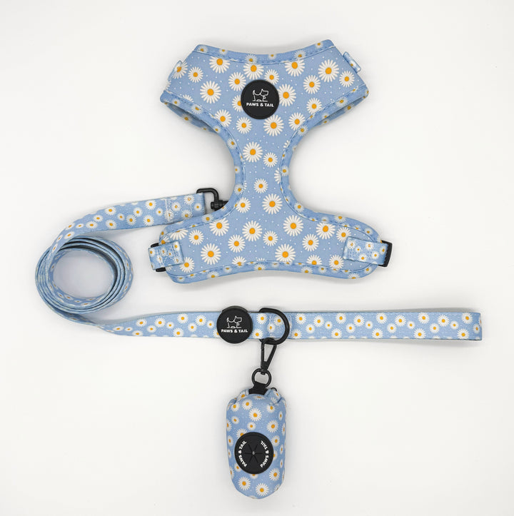 Daisy Daze Harness Walk Set