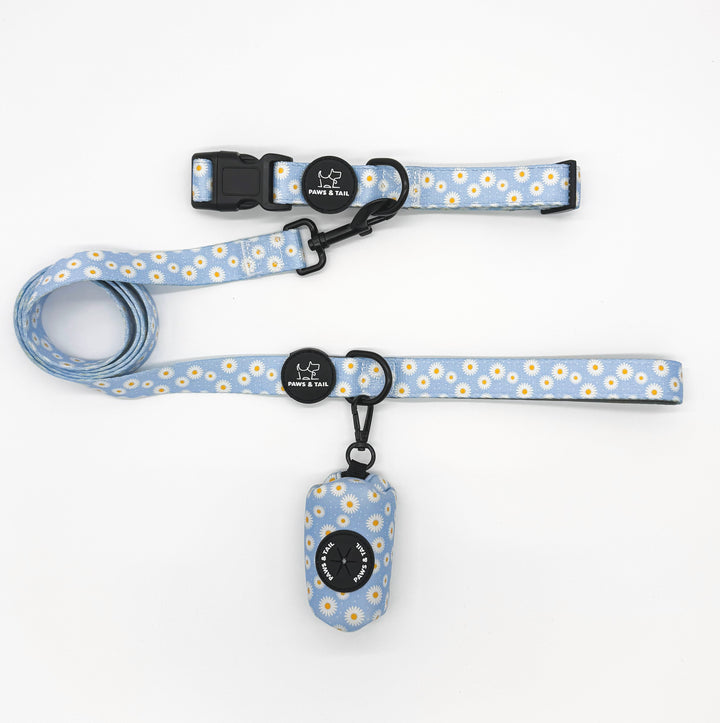 Daisy Daze Collar Set