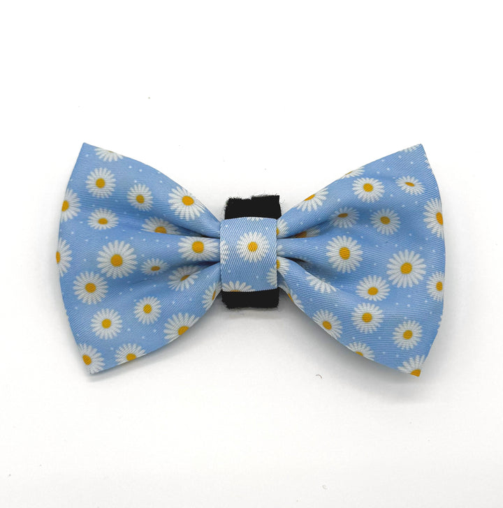 Daisy Daze Bow Tie