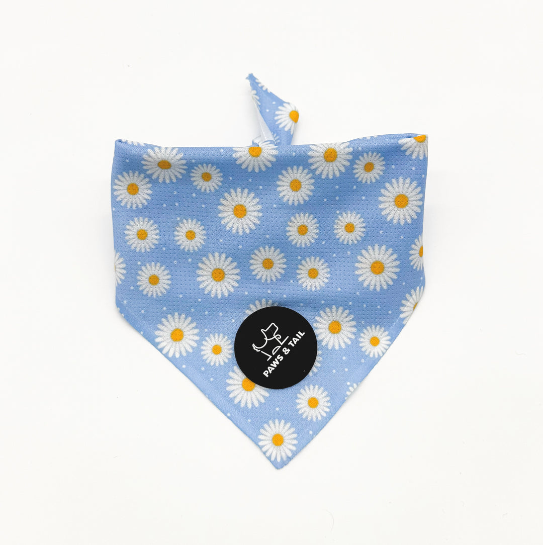 Daisy Daze 6 Piece Kit