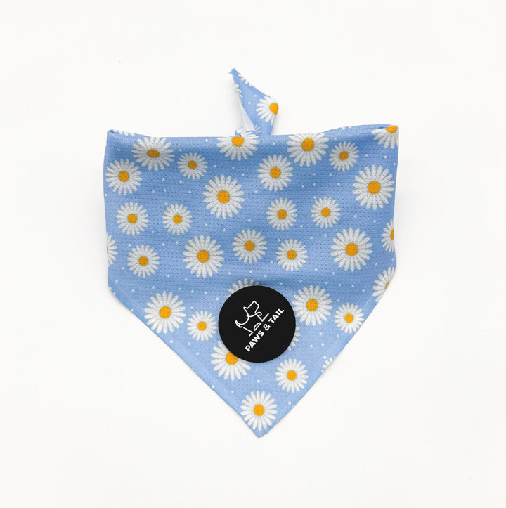 Daisy Daze 6 Piece Kit