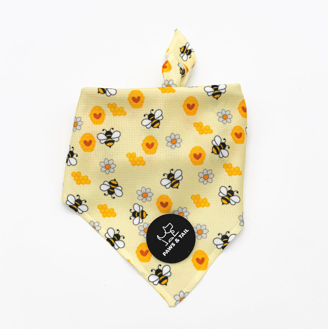 Bee Happy 6 Piece Kit