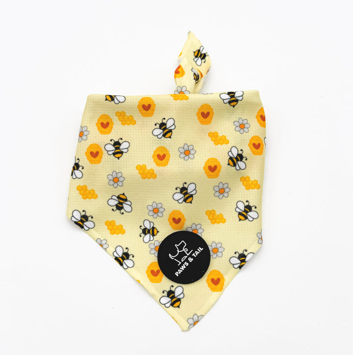 Bee Happy 6 Piece Kit