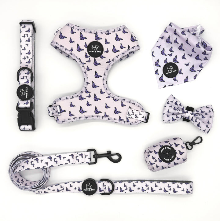 Dog walking essentials set, harness, leash, collar, bow, bandana, waste bag holder, Paws & Tail