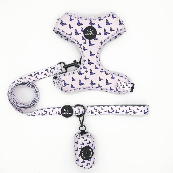 Violet Wings Harness Walk Set