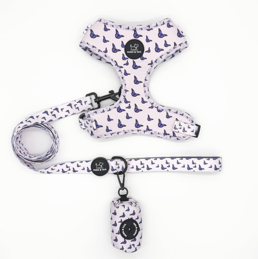 Violet Wings 6 Piece Kit