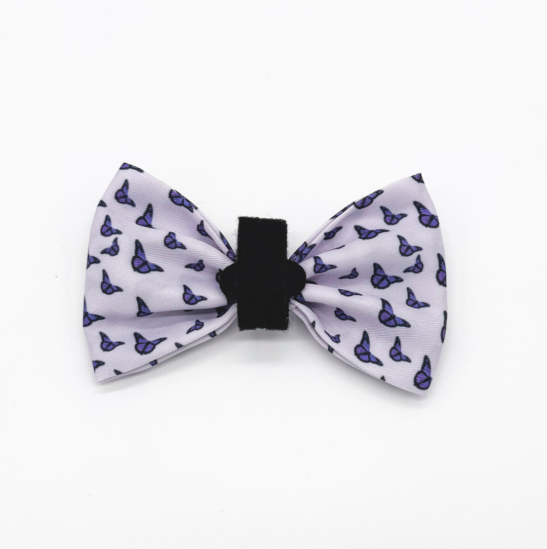 Violet Wings Bow Tie