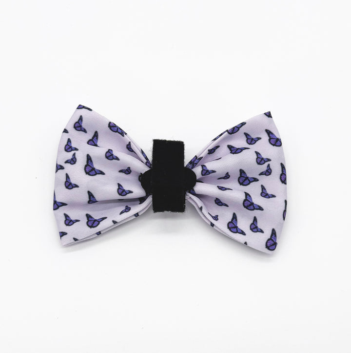Violet Wings Bow Tie