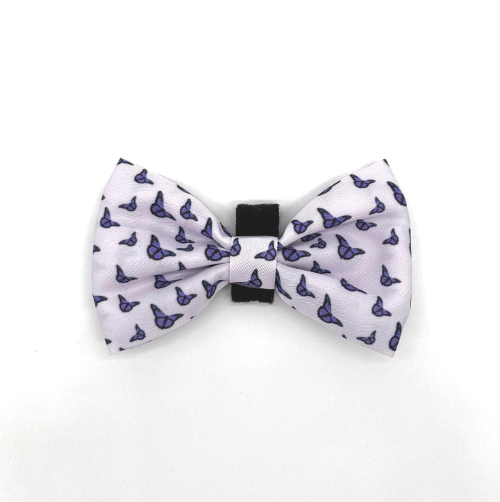 Violet Wings Bow Tie