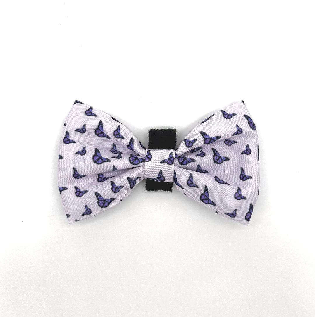 Violet Wings 6 Piece Kit