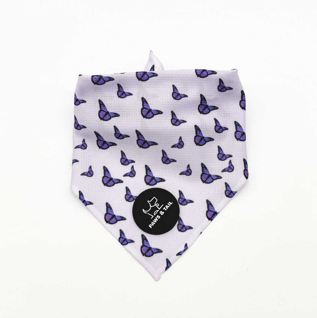 Violet Wings 6 Piece Kit