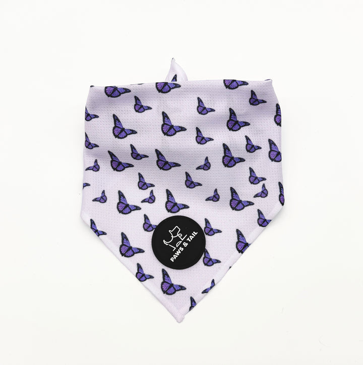 Violet Wings 6 Piece Kit