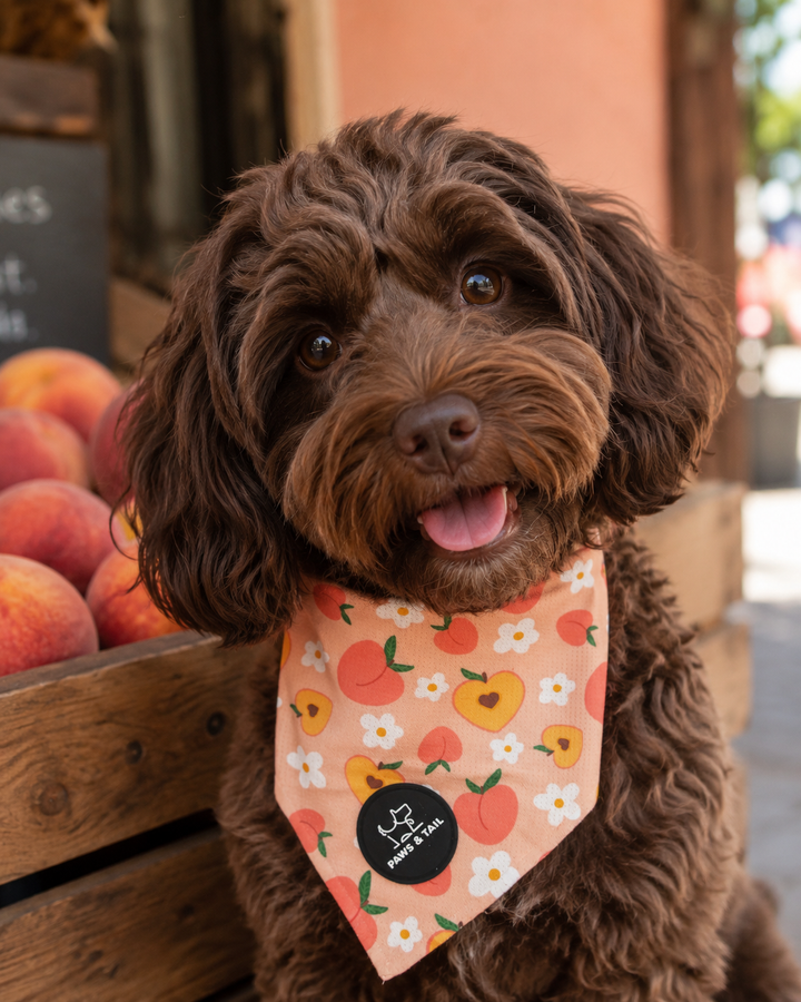 Peachy Bloom Bandana