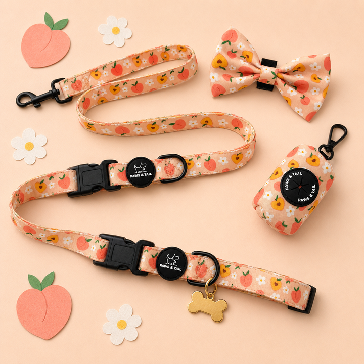 Peachy Bloom Collar Set
