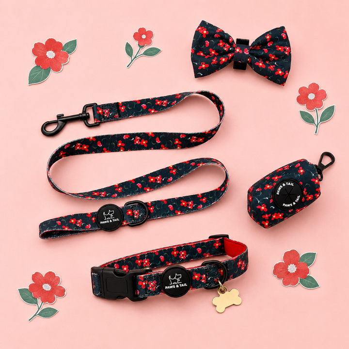 Rosé Reverie Collar Set