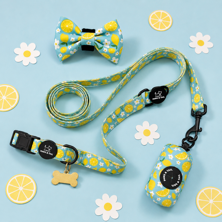 Sunny Citrus Bloom Collar Set