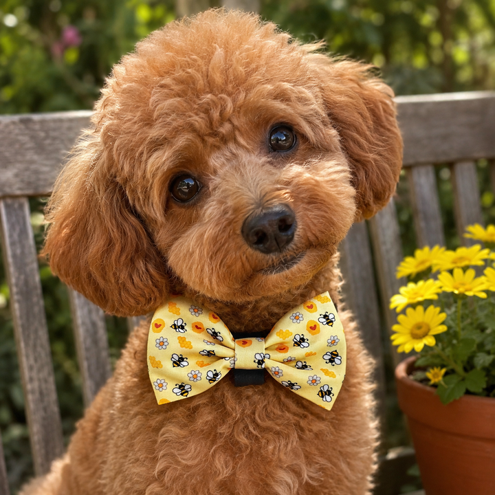 Bee Happy Bow Tie