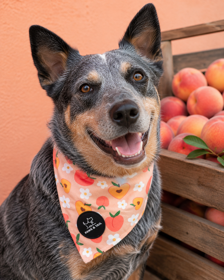 Peachy Bloom Bandana