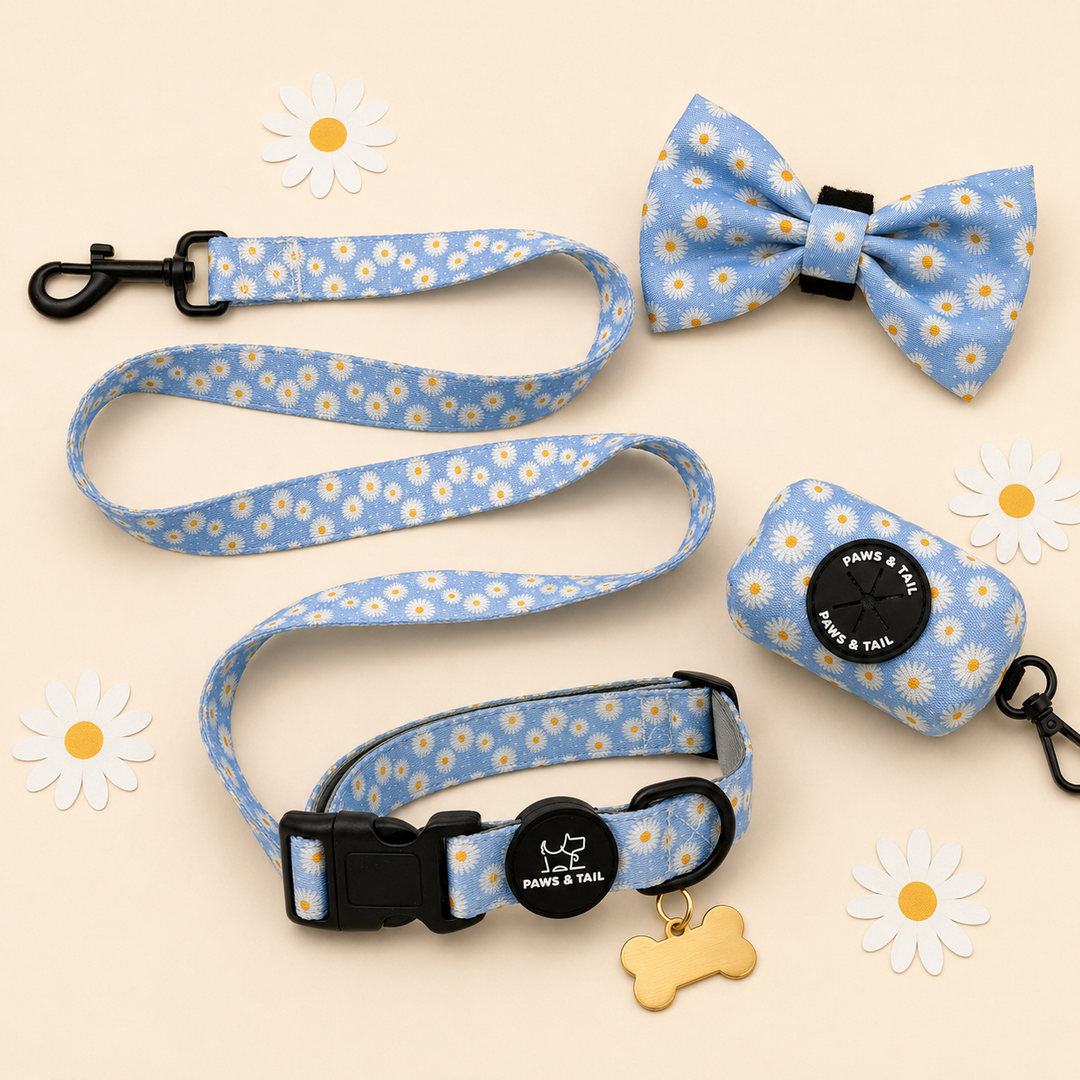 Daisy Daze Collar Set